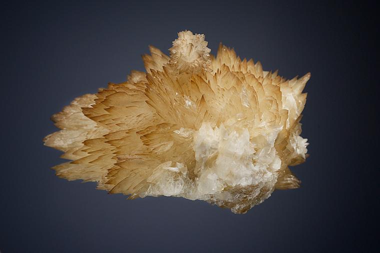 COLEMANITE